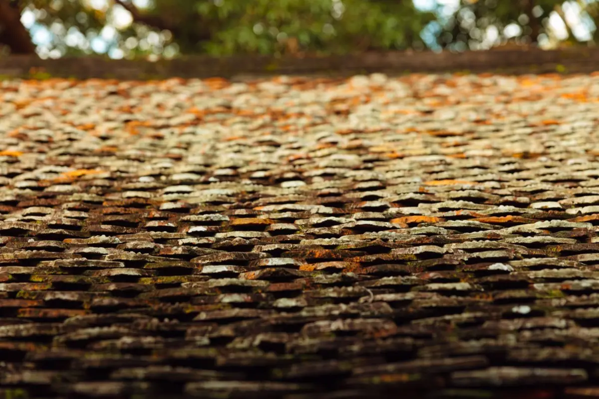 Aging shingle roof with moss growth and granule loss in Savannah, GA