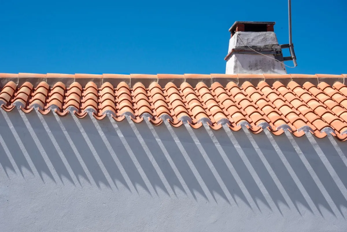 Roof ridge line and chimney on a home in Savannah, GA